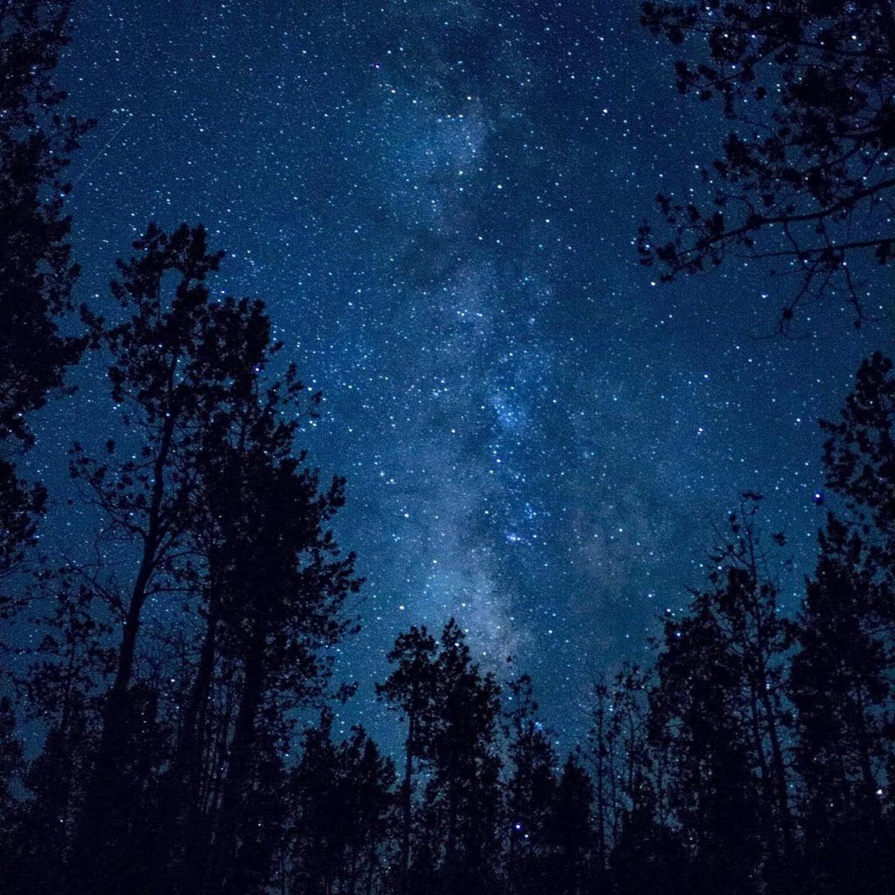 The Milky Way @ Pine Resort Fraser Hill Eksteriør billede